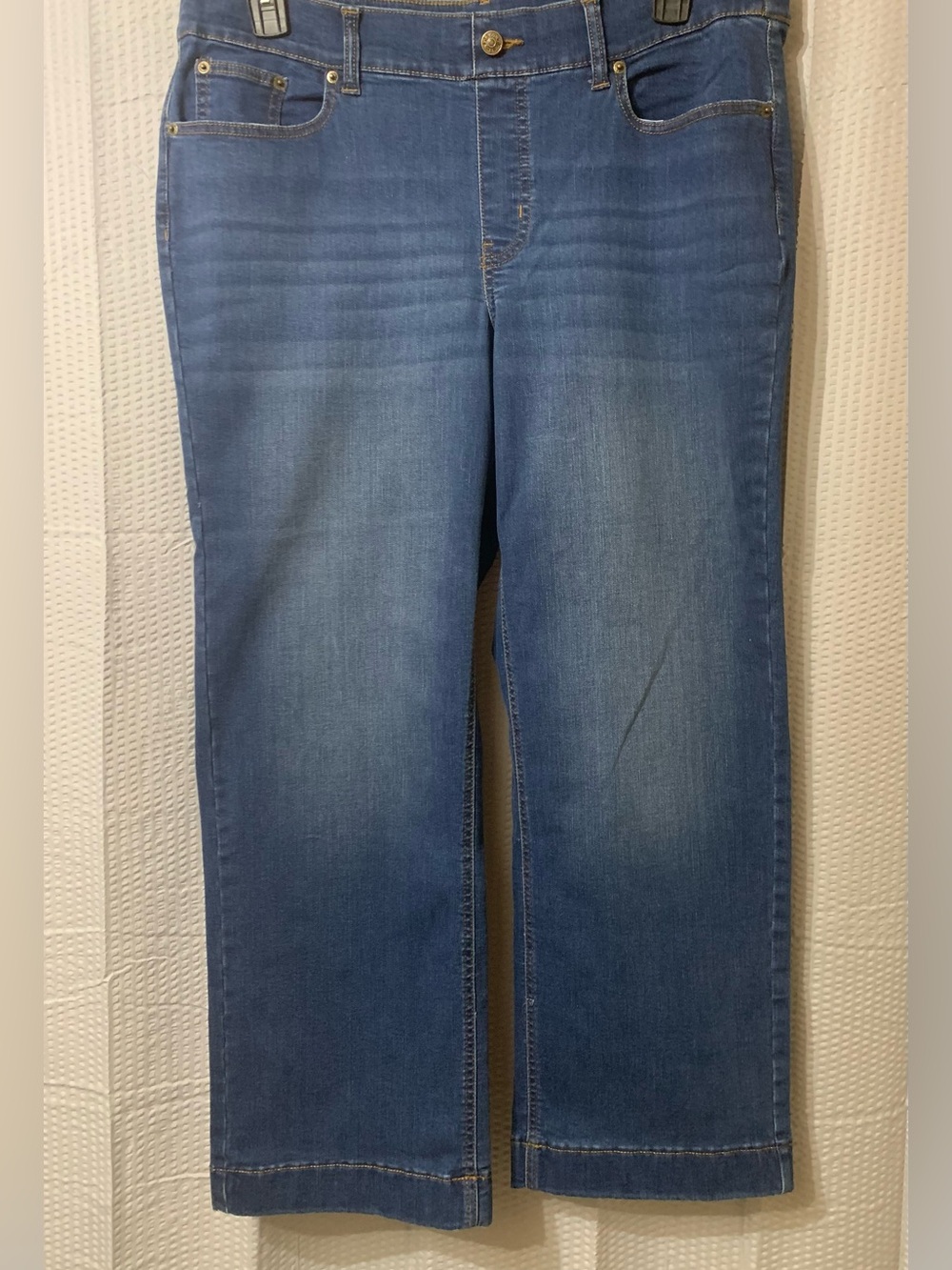Denim & Co Classic Blue Denim Jeans 16P